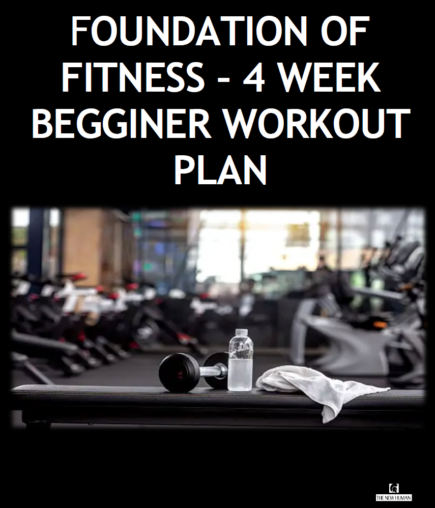 Foundations of Fitness: A 4-Week Beginner Workout Plan eBook