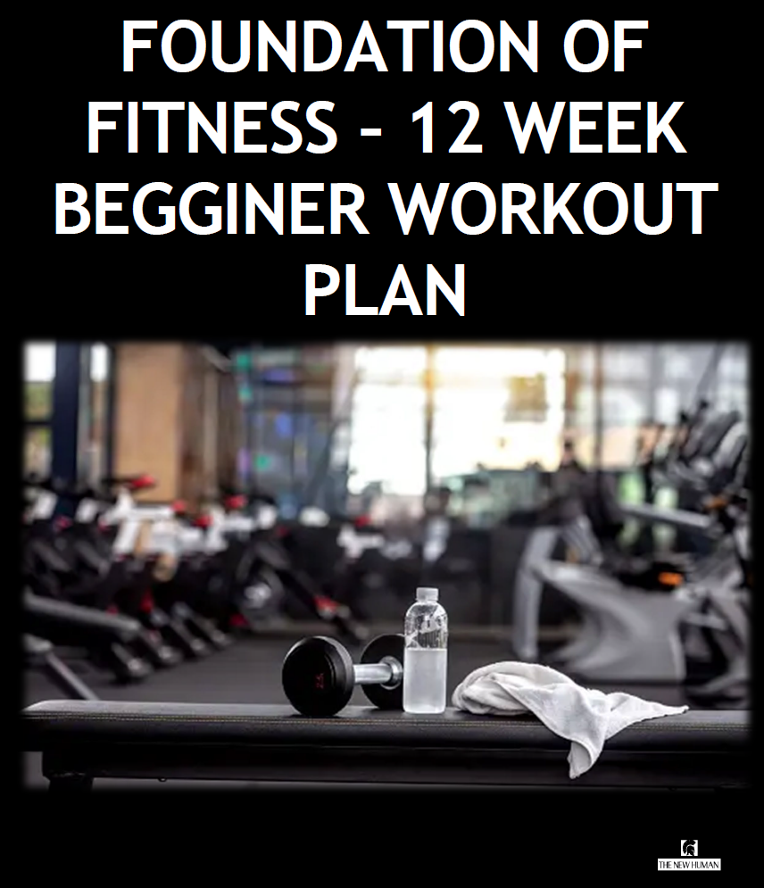 Foundations of Fitness: A 12-Week Beginner Workout Plan eBook