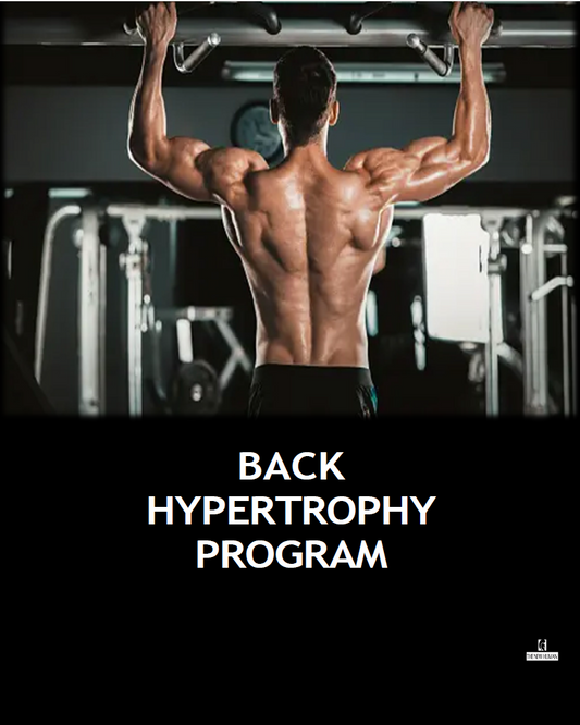 Back Hypertrophy Program